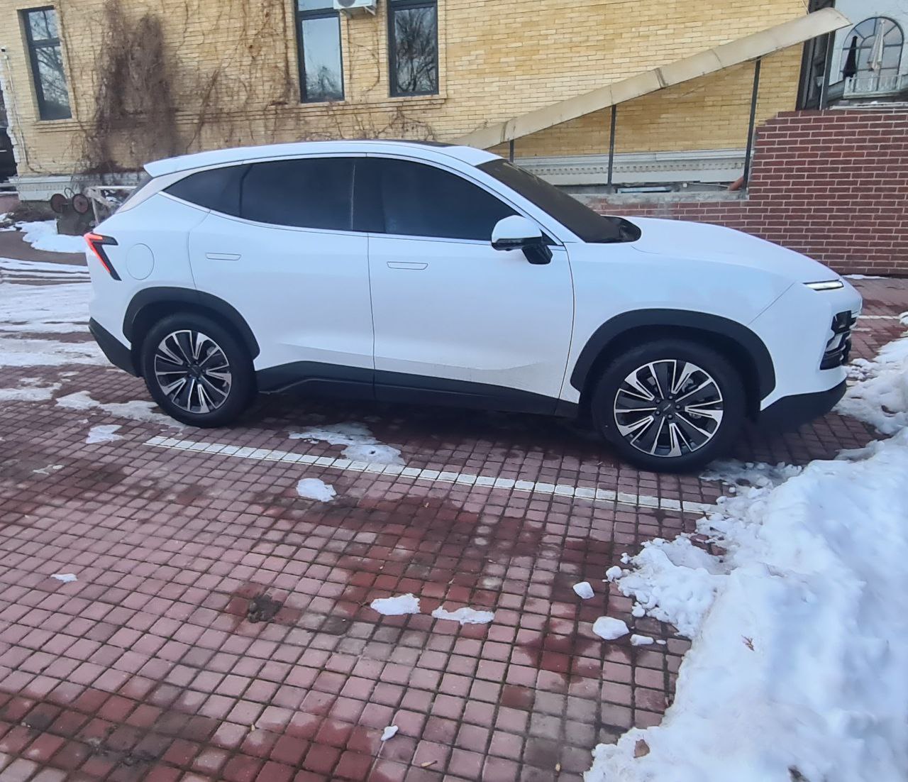 tg: Лоб 5% или 20%?