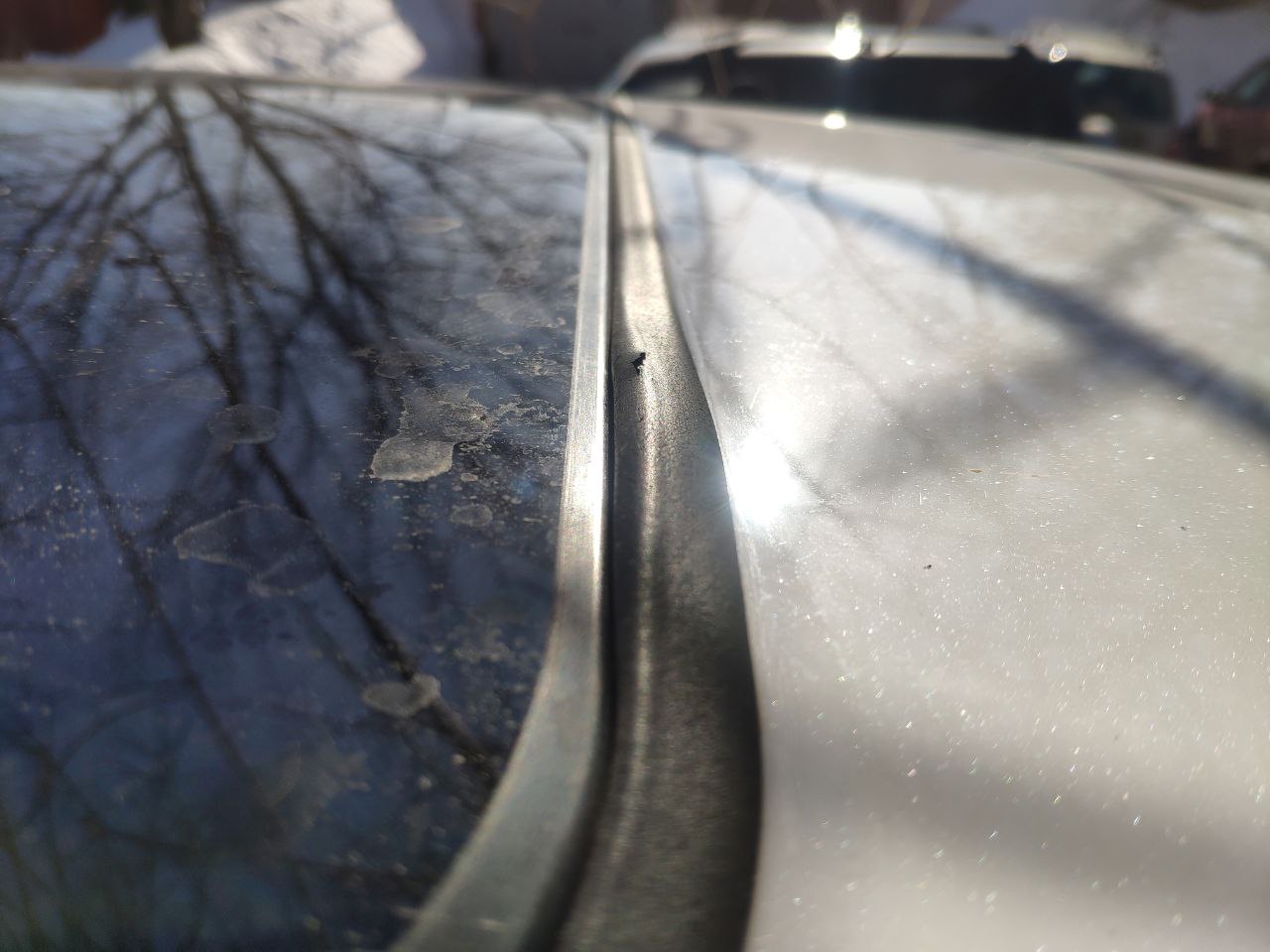 tg: У меня аналогично