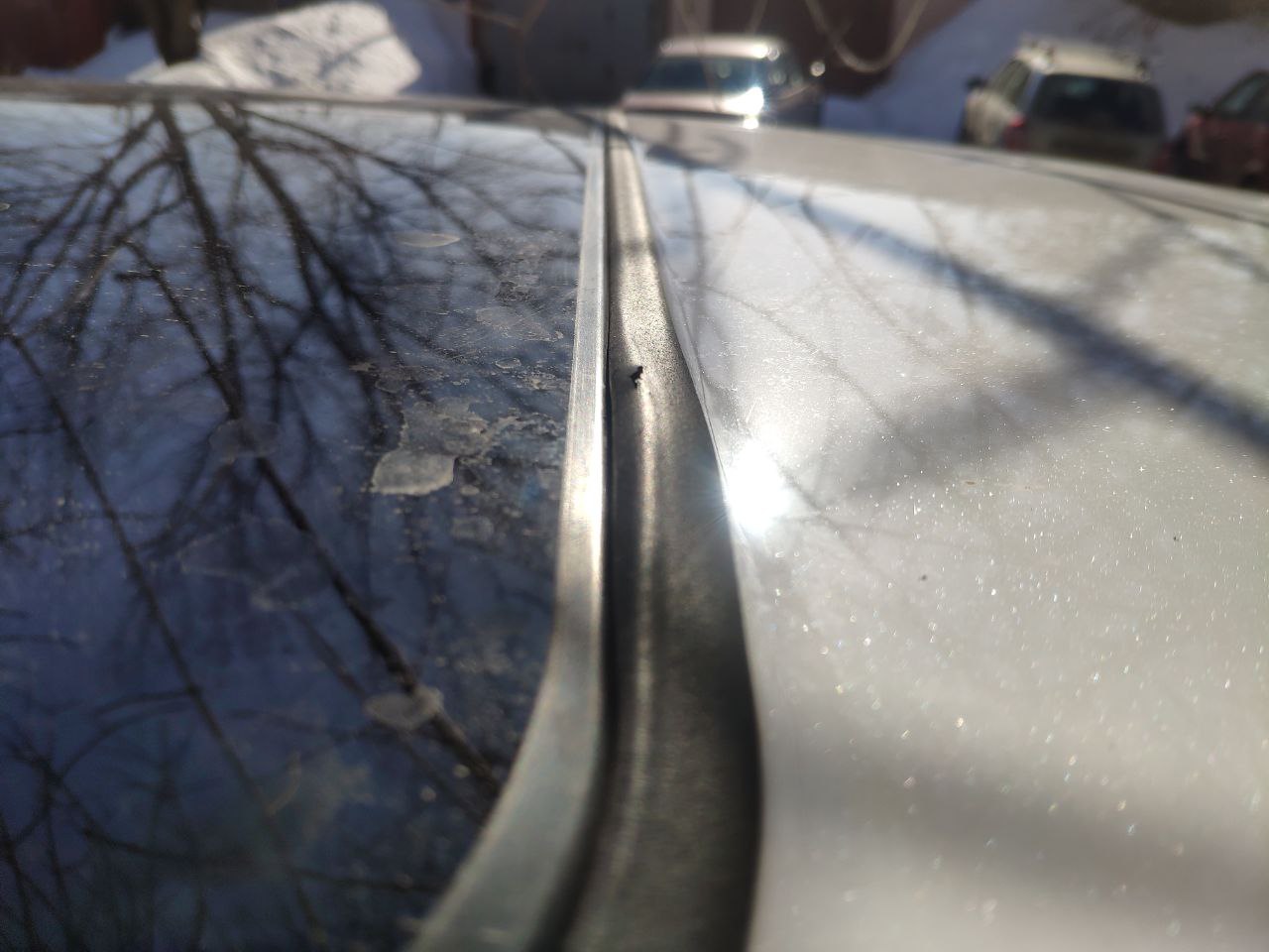 tg: У меня аналогично