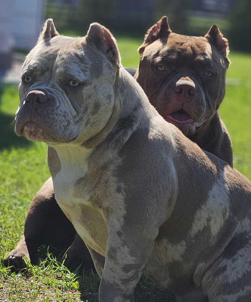 tg: Для настроения