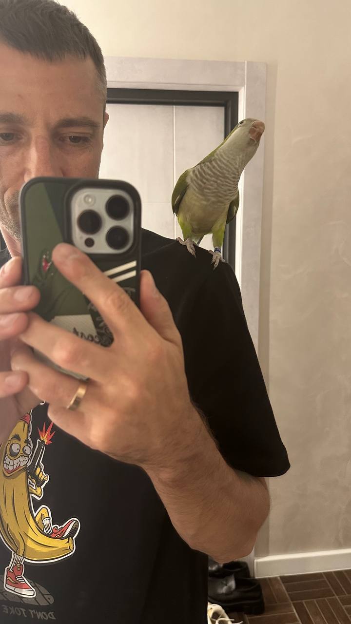 tg: вот чего реально не хватает в ГУ - так это Алисы!!!