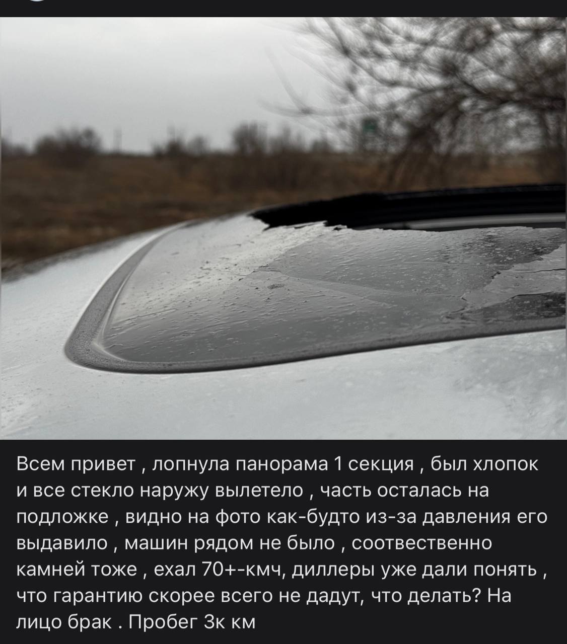 tg: Экспертизу.