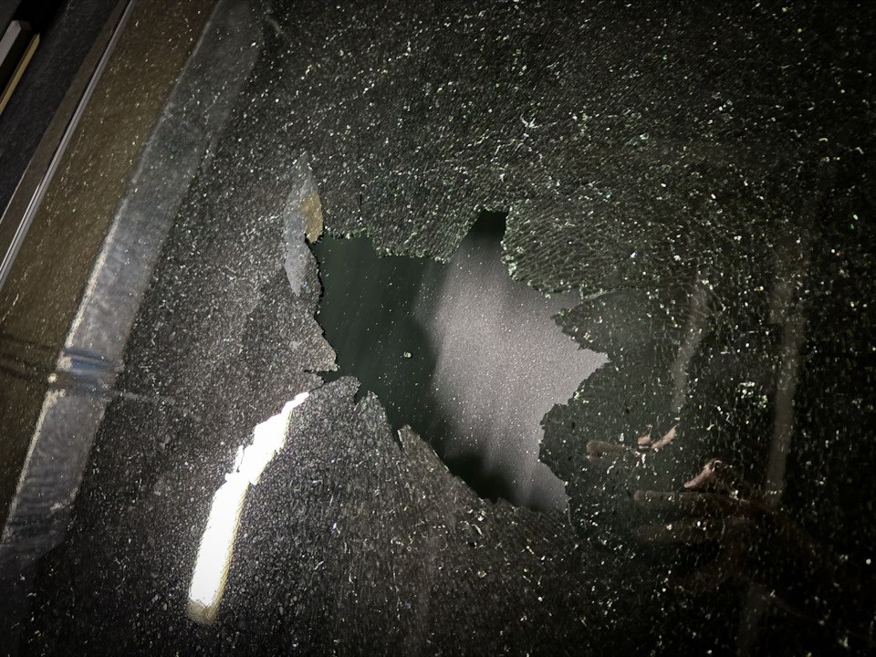 tg: Экспертизу.