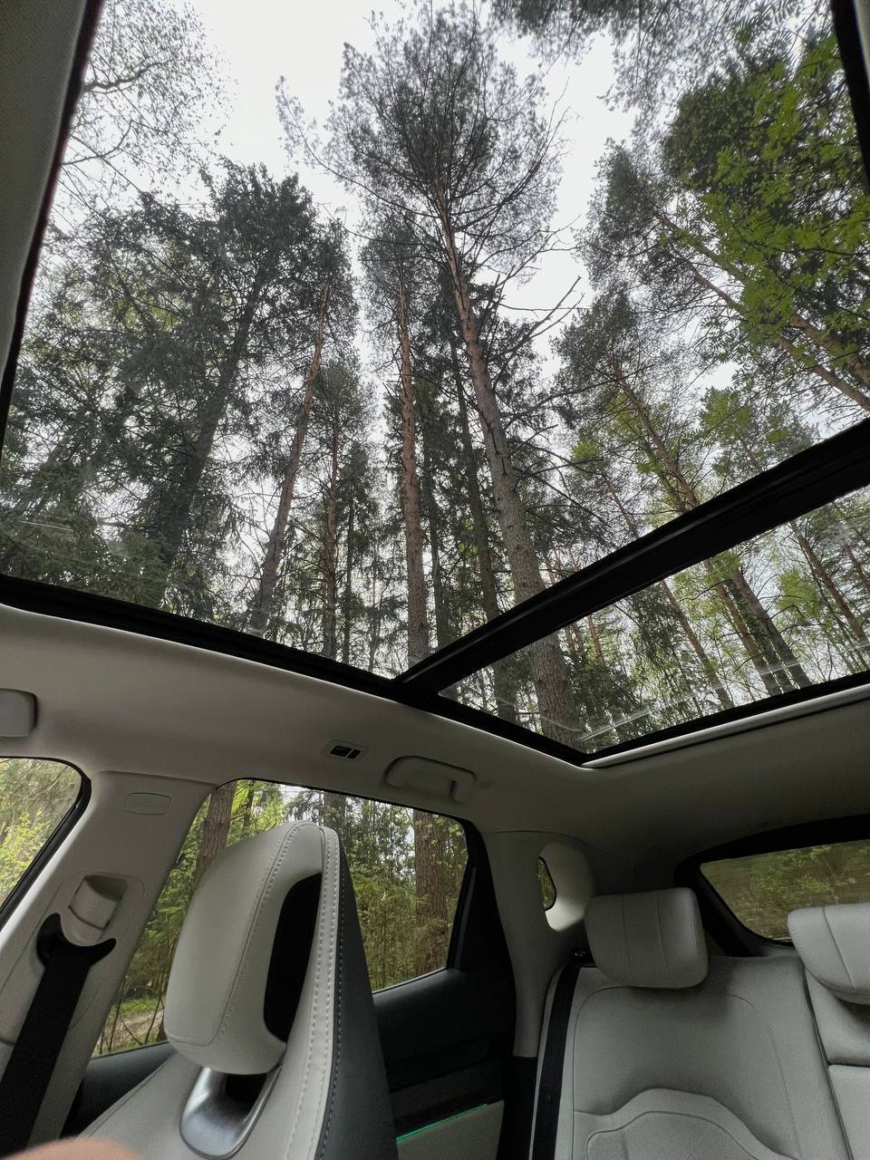 tg: Скиньте пожалуйста фото своих светло серых машин, выбираю между цветам…