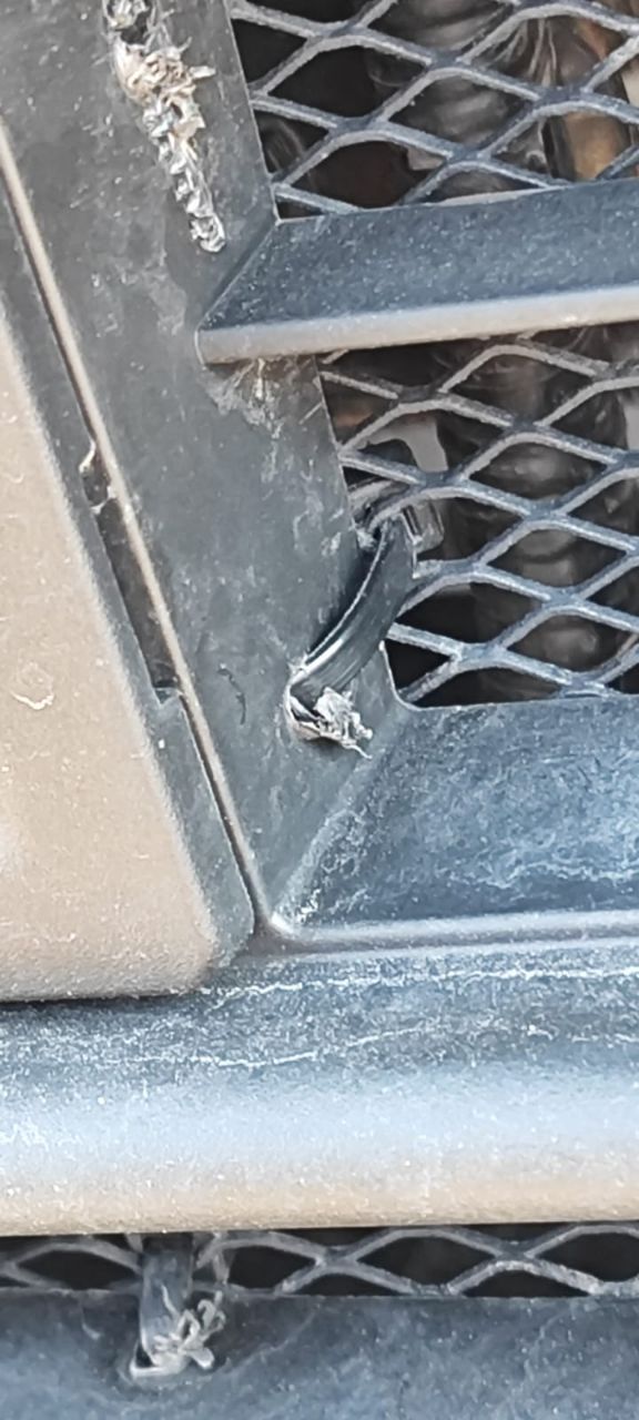 tg: По поводу ржавчины мне кажется это какой-то вброс! 18 тысяч пробега с …