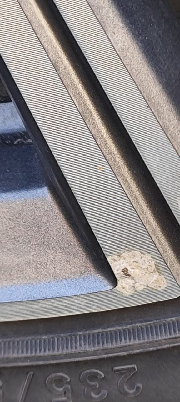 tg: По поводу ржавчины мне кажется это какой-то вброс! 18 тысяч пробега с …