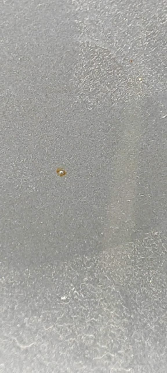 tg: По поводу ржавчины мне кажется это какой-то вброс! 18 тысяч пробега с …