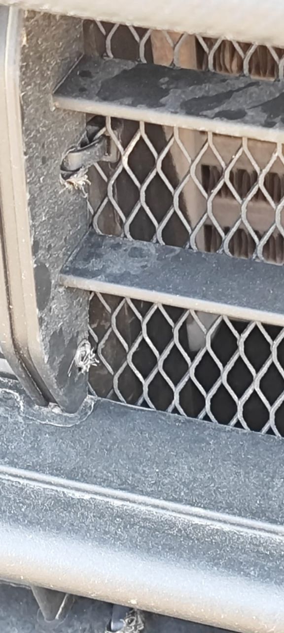 tg: По поводу ржавчины мне кажется это какой-то вброс! 18 тысяч пробега с …