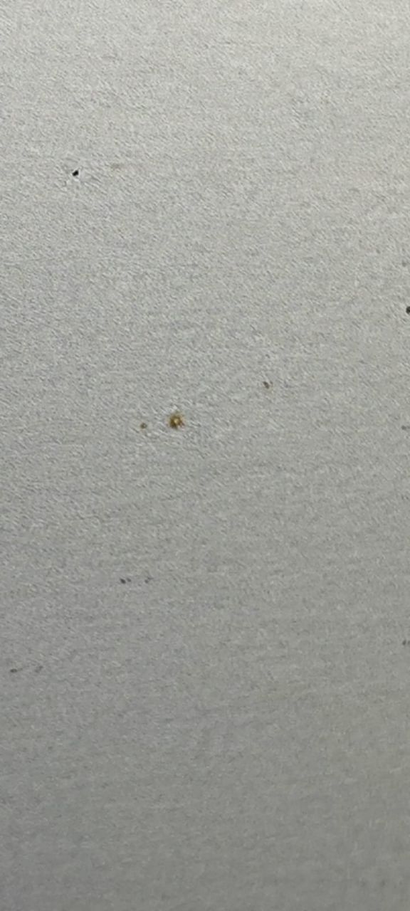 tg: По поводу ржавчины мне кажется это какой-то вброс! 18 тысяч пробега с …