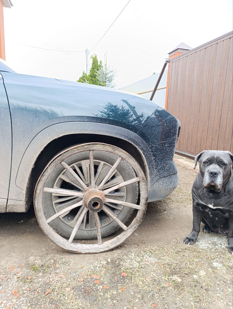 tg: Всем привет. Есть кто менял резину? Подвеска стала мягче? Не пойму то…