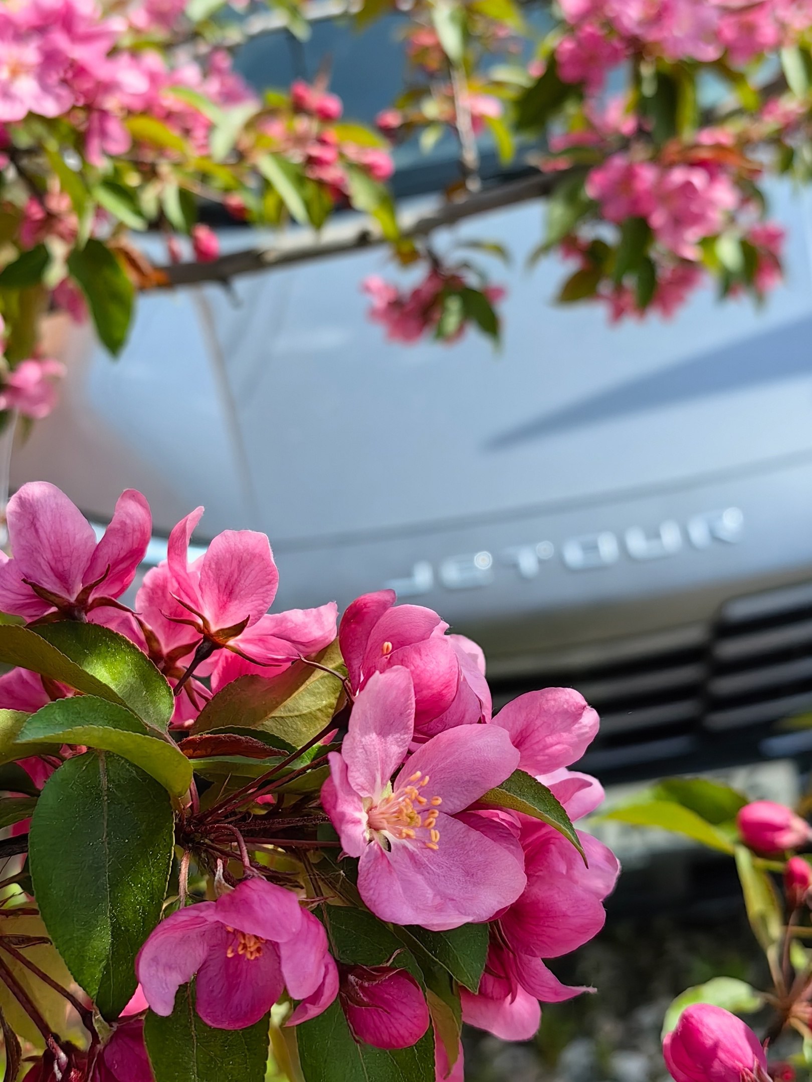 tg: Конкурс «‎Аромат впечатлений» на повестке Jetour! Для нас весна с Jet…