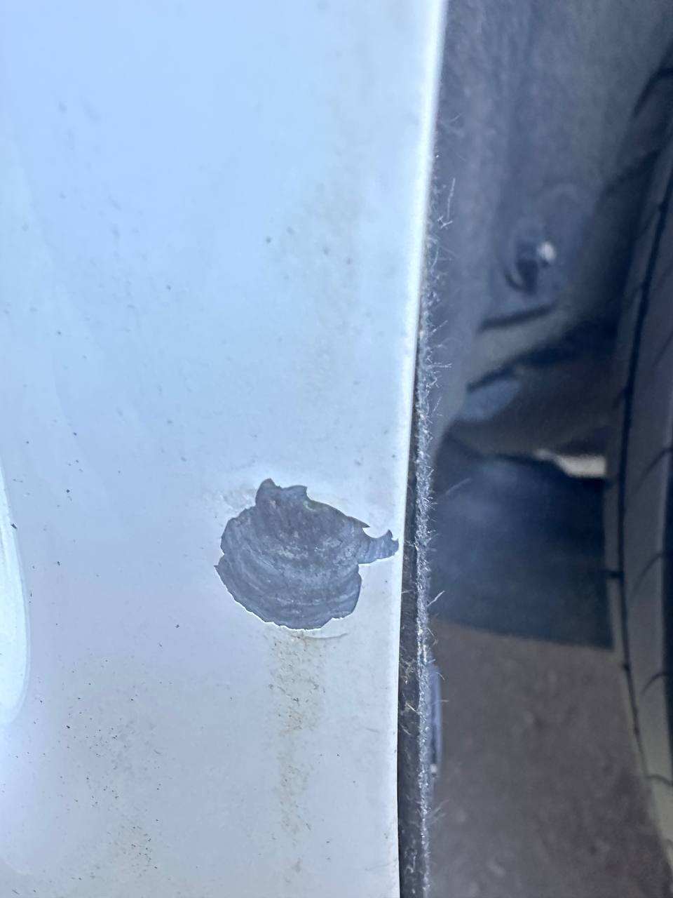 tg: В теме нашел еще 3 похожих случая как у меня, очень любопытно как у Ва…